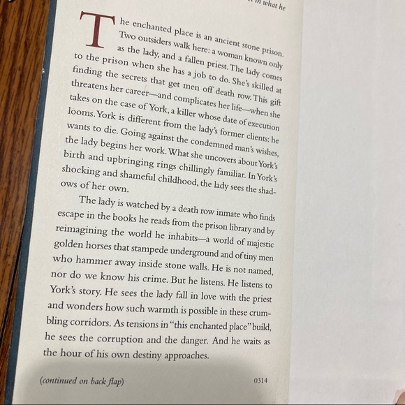 ❤️‍🔥 (5/20) The Enchanted A Novel by Rene Denfeld | Hardcover - Picture 4 of 8